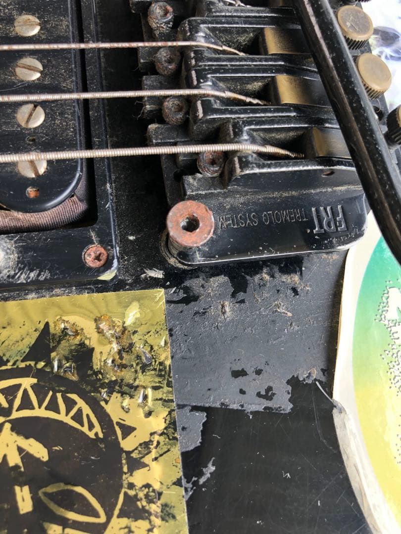 Fernandes(フェルナンデス) (D177)