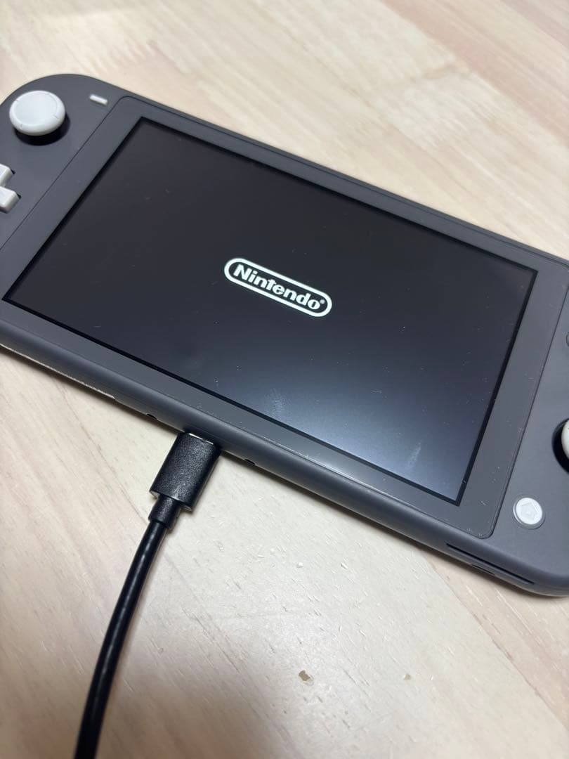 Switch Lite グレー ケース 充電器microSD 128GB付