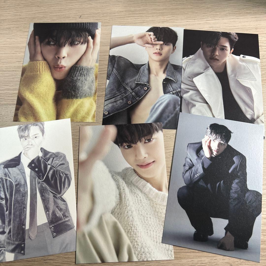 ソンガン シーグリ 2022