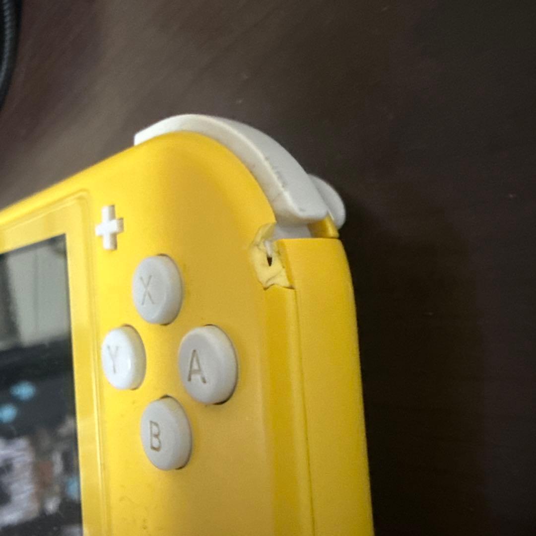 Nintendo Switch Lite 本体 + ケース　マイクラセット