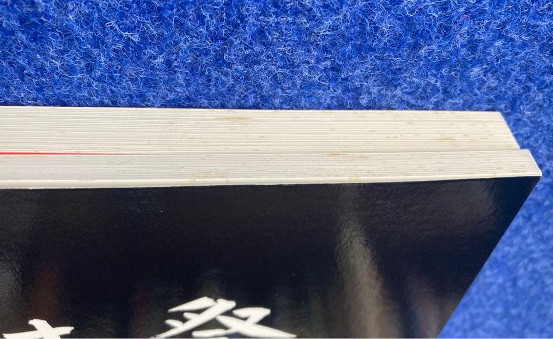 インディオの祭　竹田鎮三郎メキシコ画集