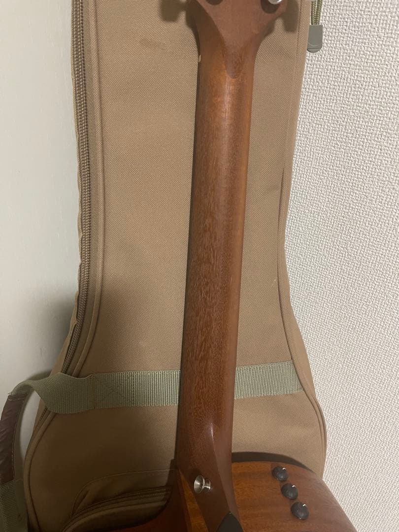 『本日限定』Taylor 114ce テイラー エレキ アコースティックギター