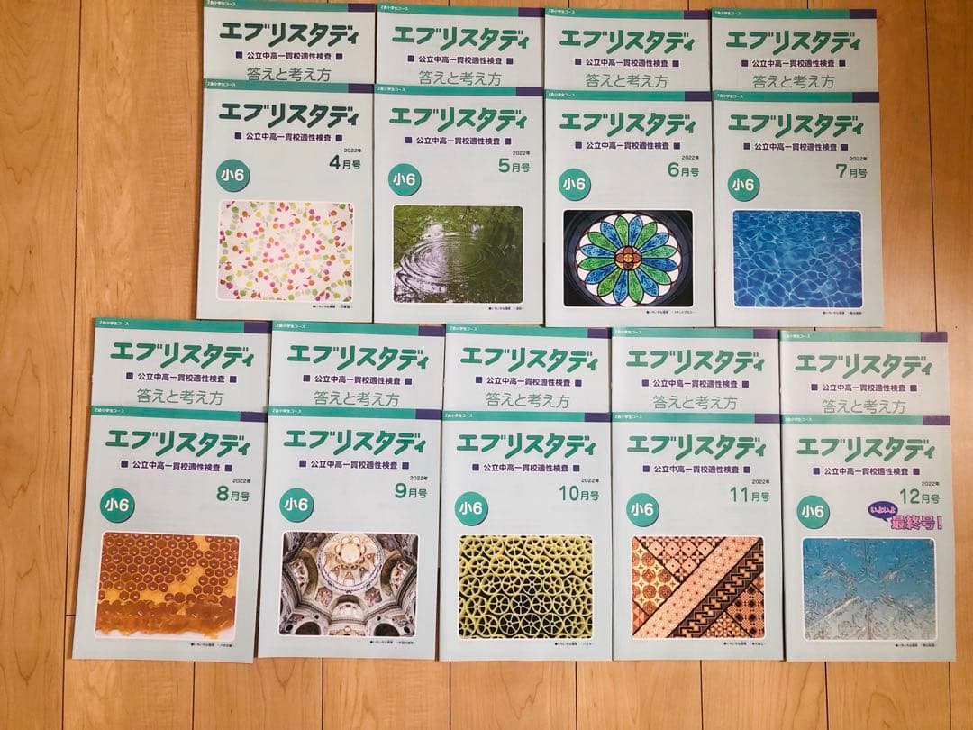 Z会 エブリスタディ 小6 公立中高一貫適性検査&作文　他