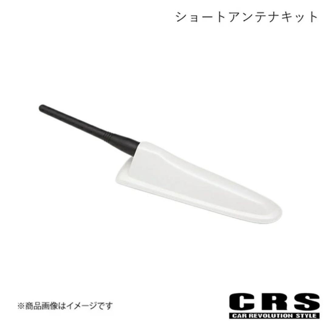 観音ショートアンテナキット 058