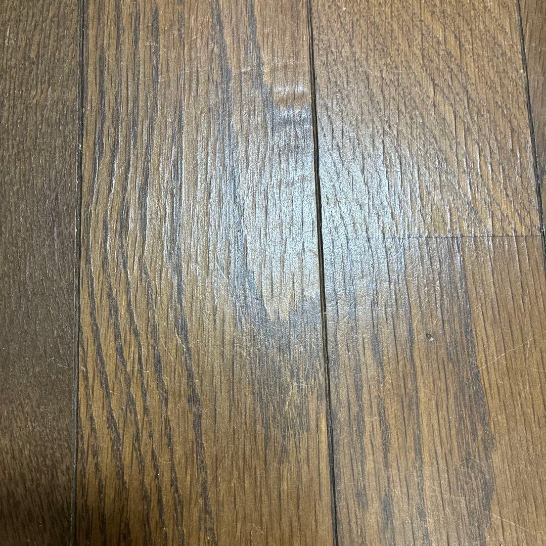 ご注文分　アグラオネマ