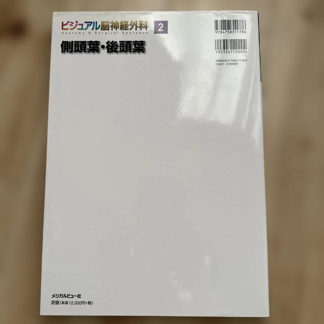 ビジュアル脳神経外科 2 側頭葉・後頭葉