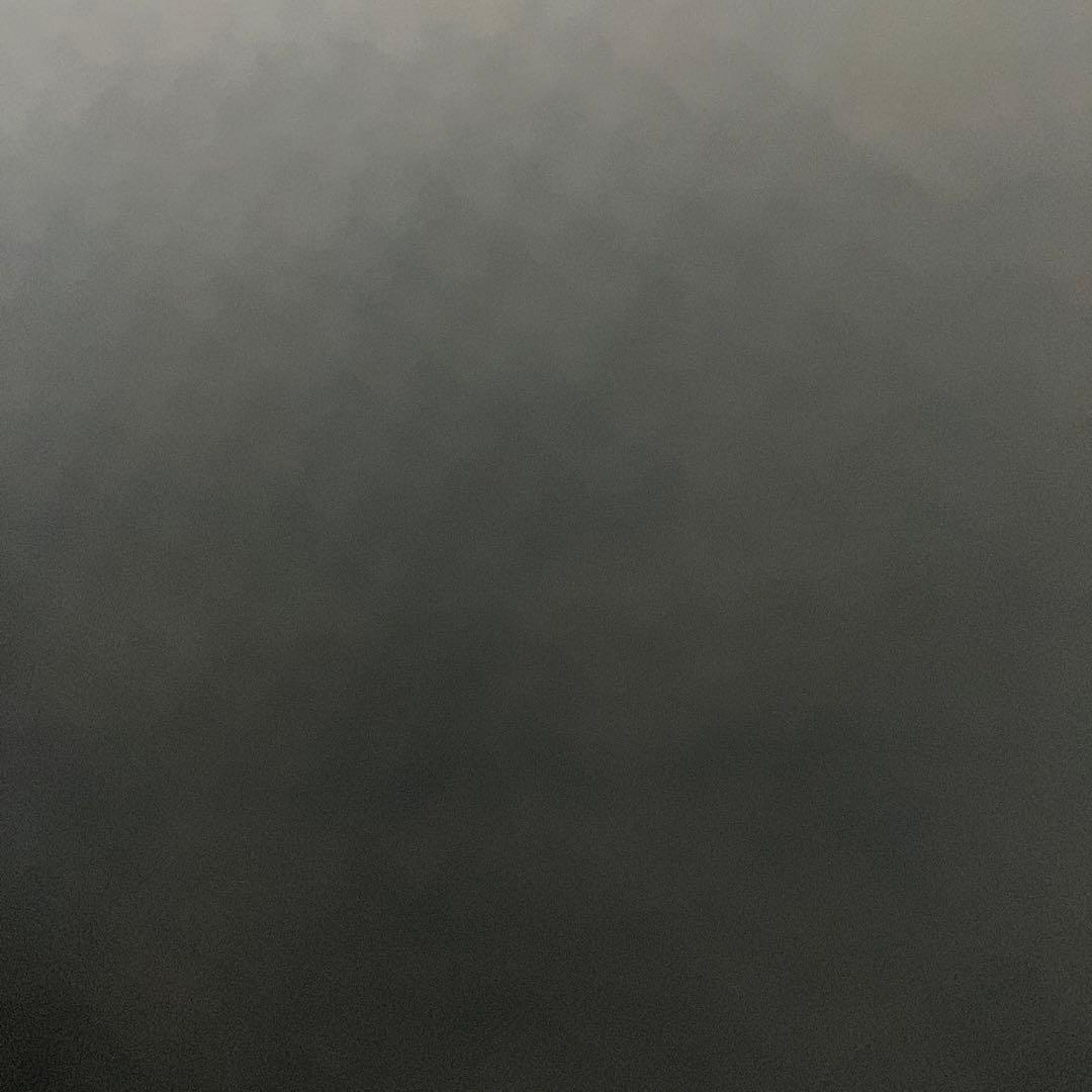 ひまわりちゃん