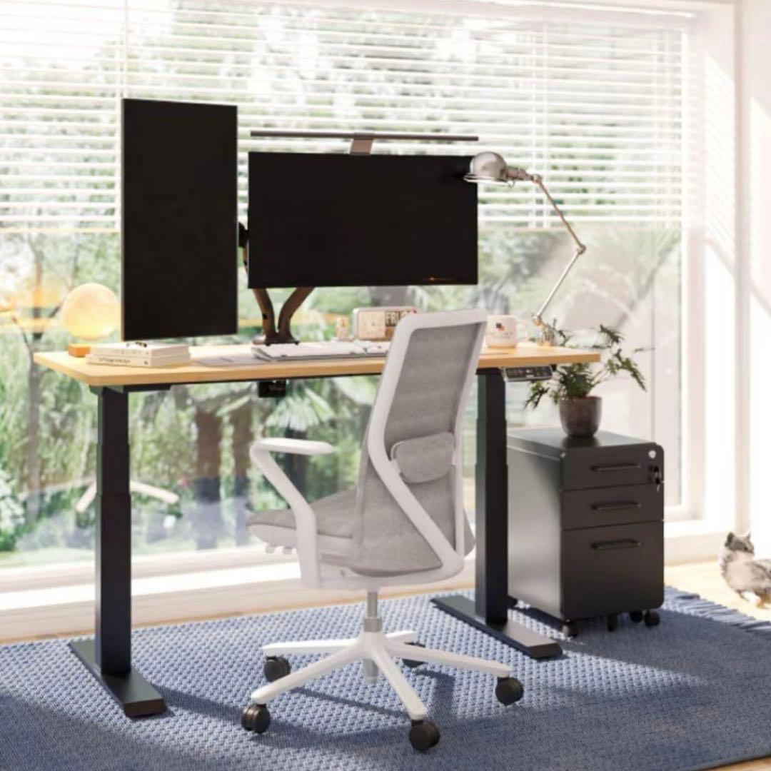 FLEXISPOT 電動昇降式デスク E3B-JA　天板（黒色）付き