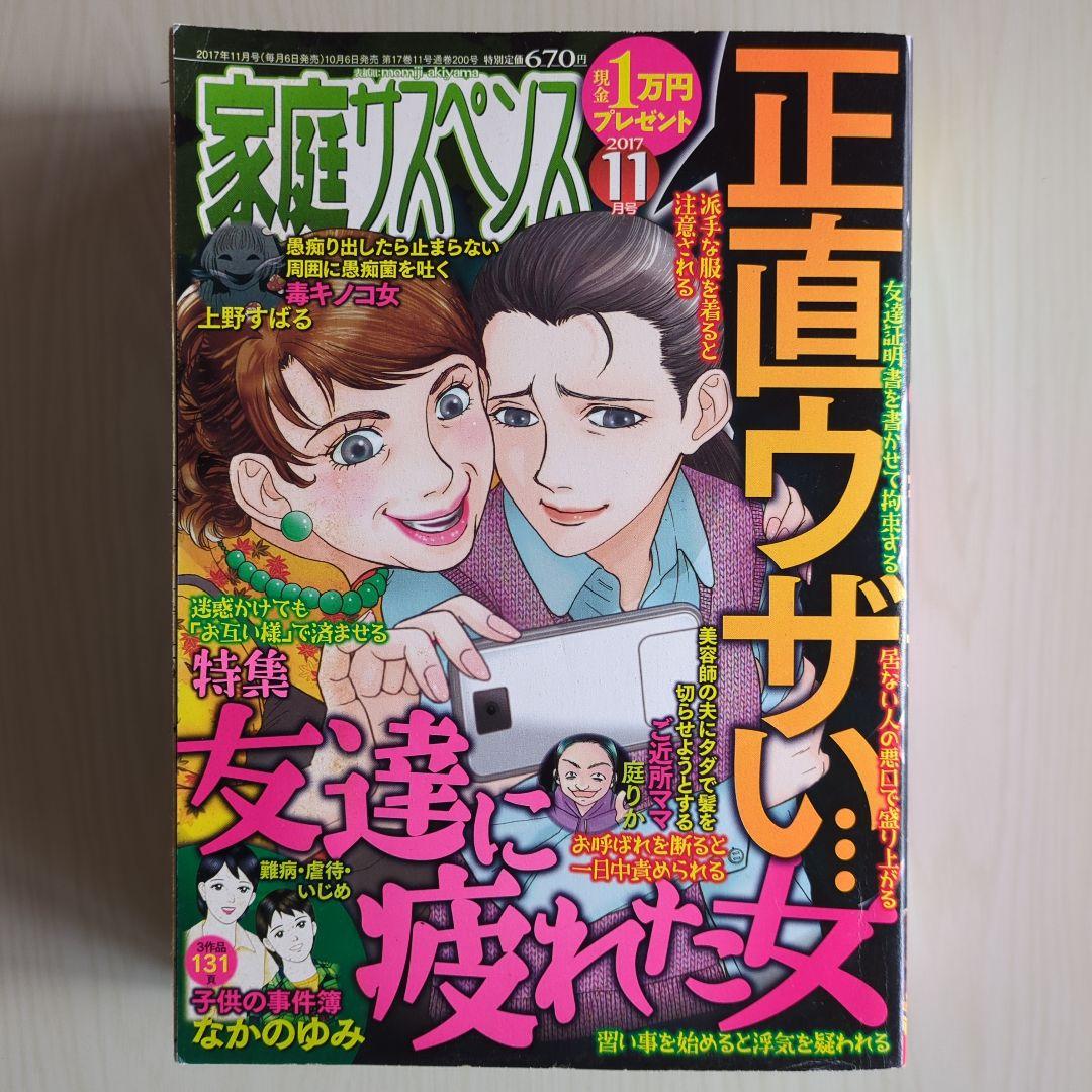 レディースコミック　レディコミ　5冊セット