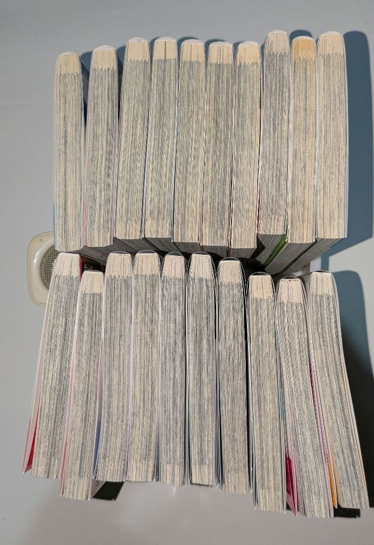 全20巻完結 自重しない元勇者の強くて楽しいニューゲーム 集英社 ヤンジャン