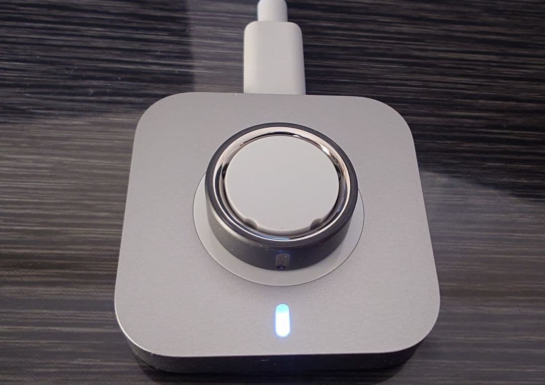 最新 Oura Ring 4 サイズ8 充電器付き