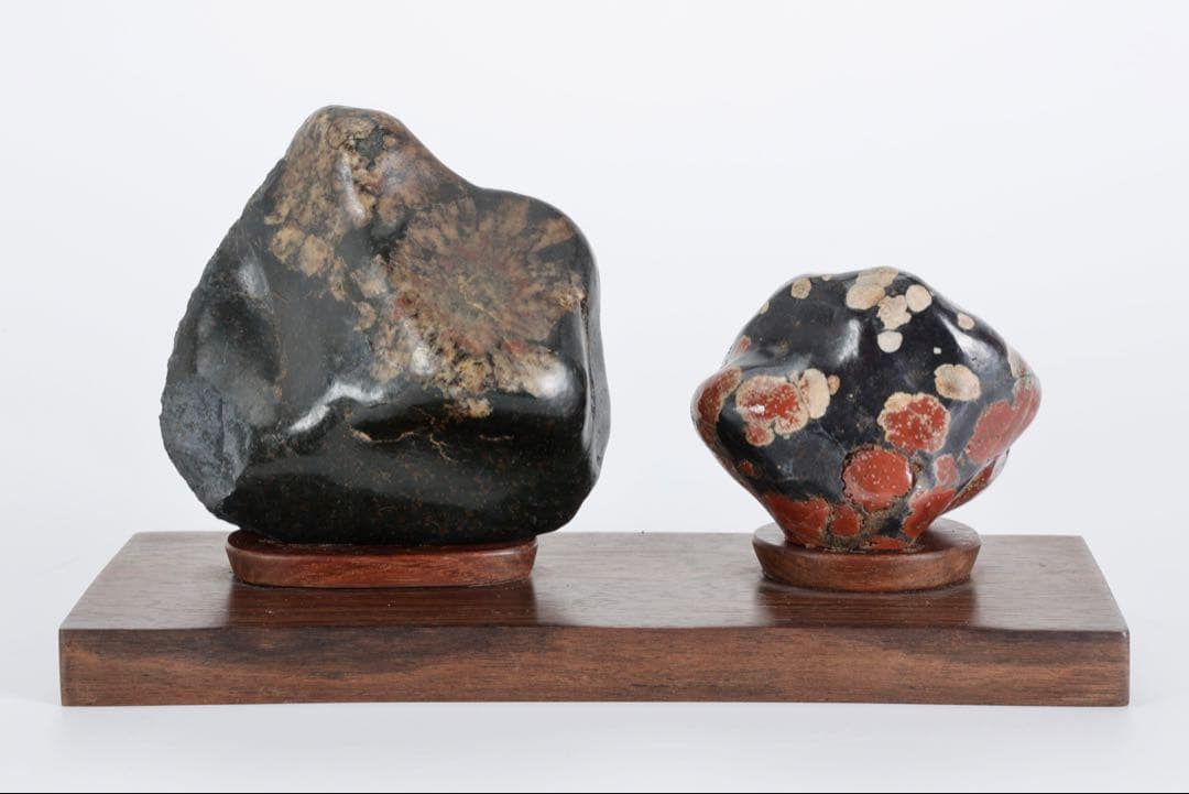 根尾川産 菊花石 二石組 台座 共箱付 鑑賞石 原石 天然石 盆石 飾石 美術品
