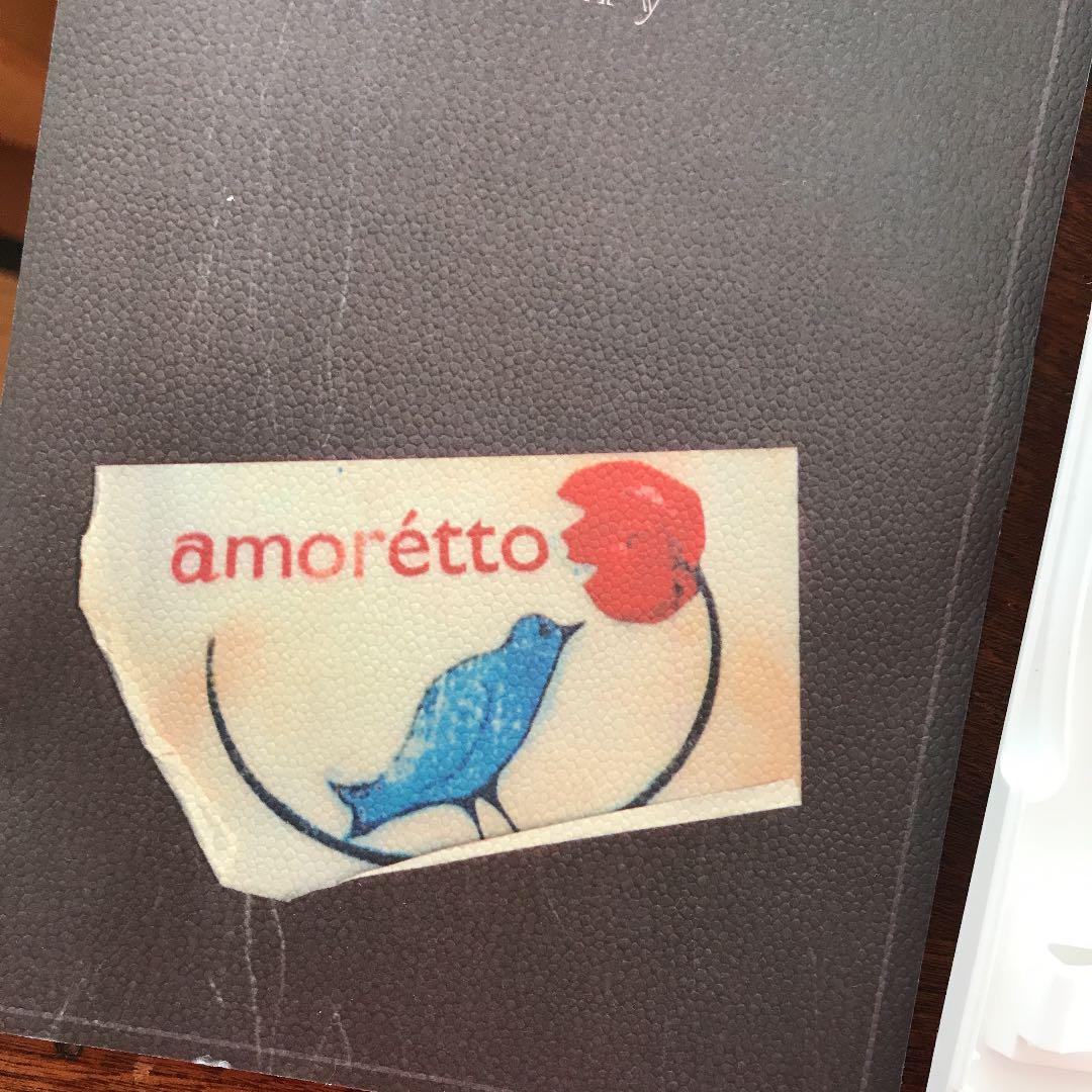 希少！ドリカム映画amoretto SPECIAL COLLECTOR'S E…