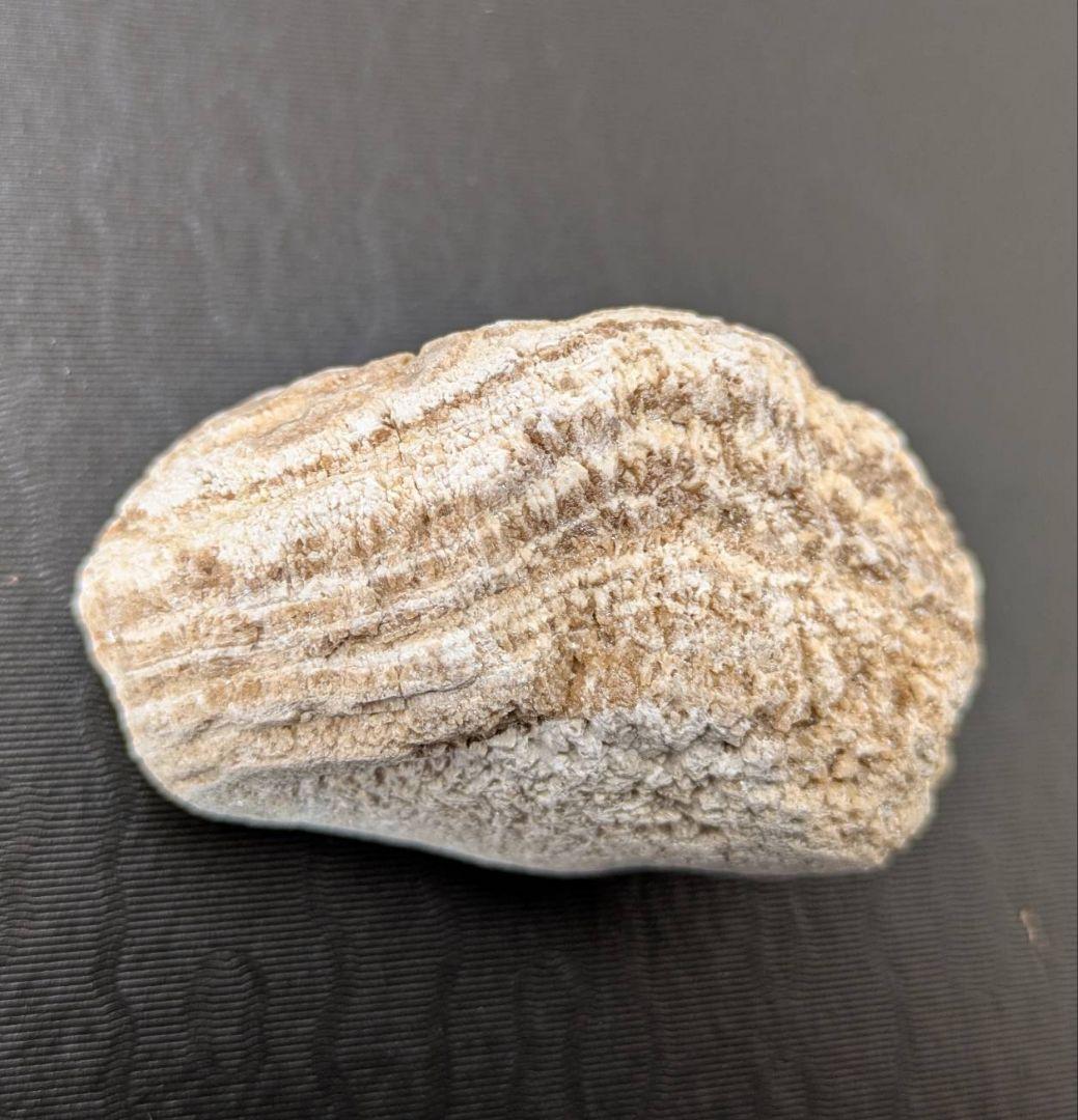 ★秋田発『北投石』１５３グラム 100%本物!! 玉川温泉産 ⛄️