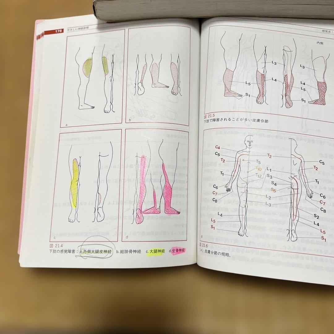 解剖学・神経診察関連書籍セット　まとめて４冊