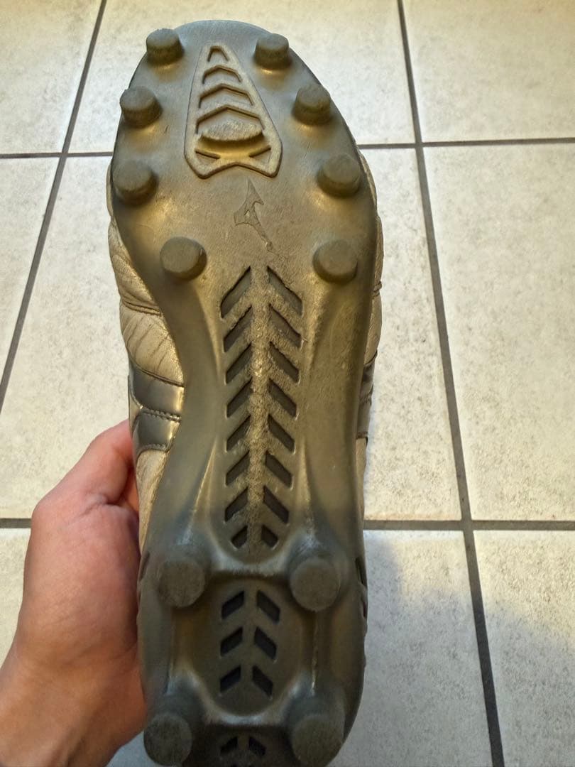 モレリアDNA 26㎝