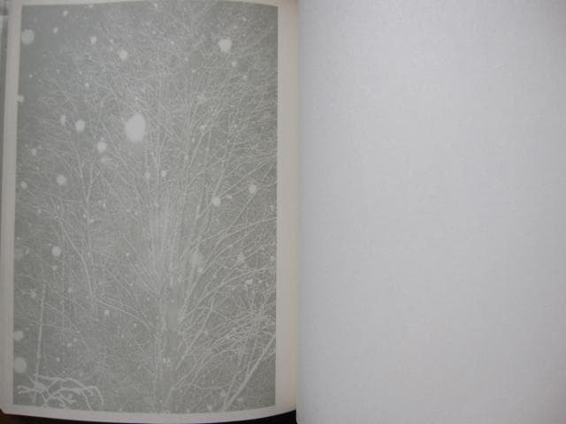 Light、Night　Ola Rindal　限定333部　直筆サイン入り