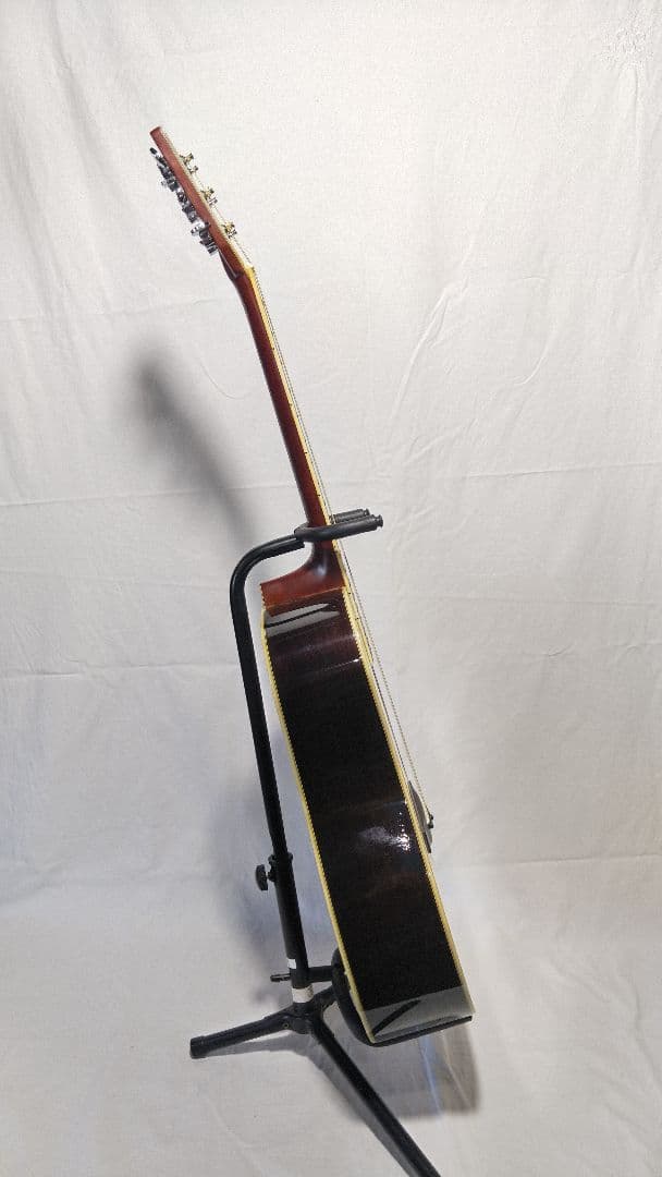 ギ*5様 Morris 　TF W-50