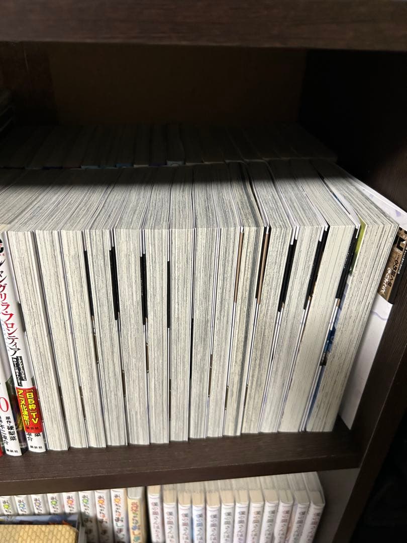 穏やか貴族の休暇のすすめ　1〜14巻