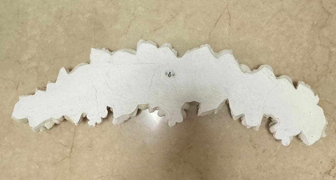 ウォールデコ　メダリオン　壁飾り　コクシグル　ブランマリクロ　サラグレース