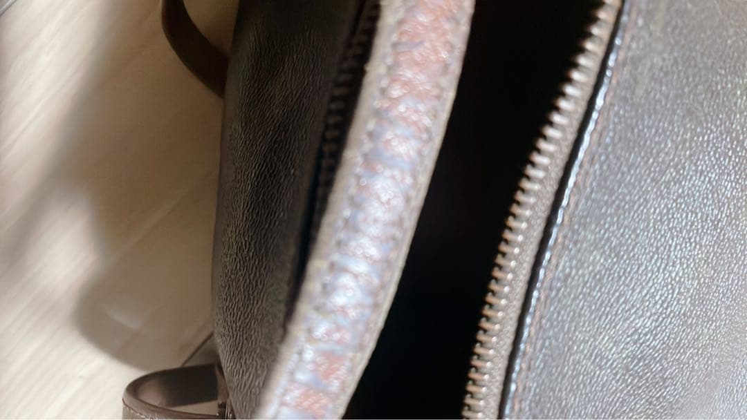 ルイヴィトン　パピオン　「ジャンク」