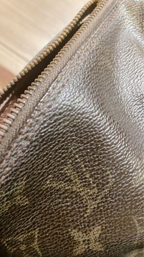 ルイヴィトン　パピオン　「ジャンク」