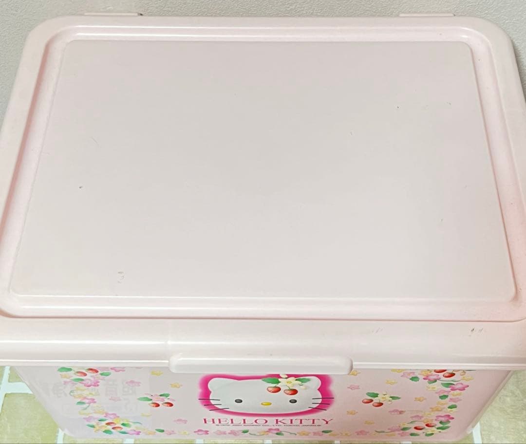 【希少】平成レトロ キティちゃん 野いちご オープンケース収納ケース2点セット