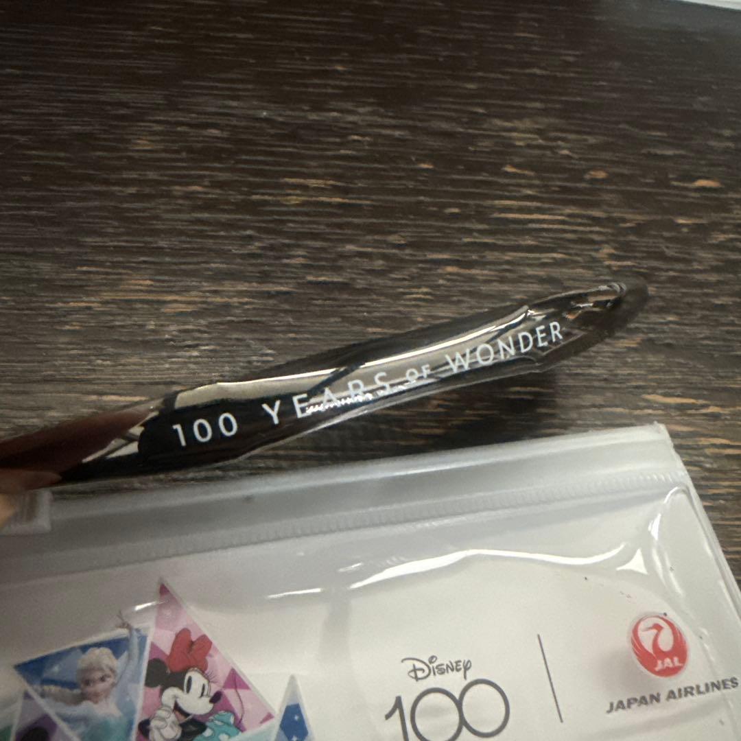 LOVECHROME × Disney100 JALドリームエクスプレス　コーム