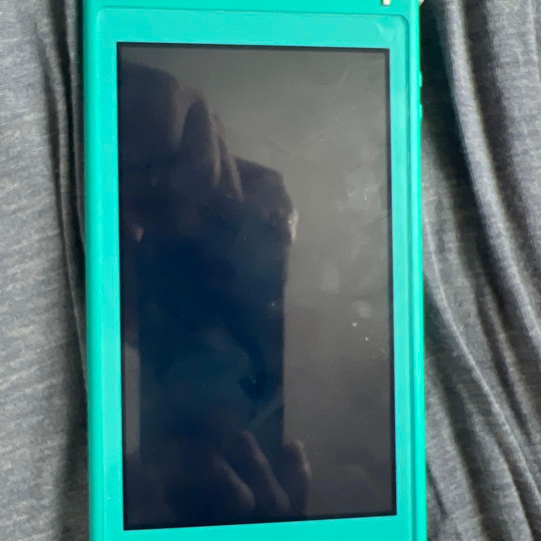 つか様　Nintendo Switch Lite ターコイズ どうぶつの森