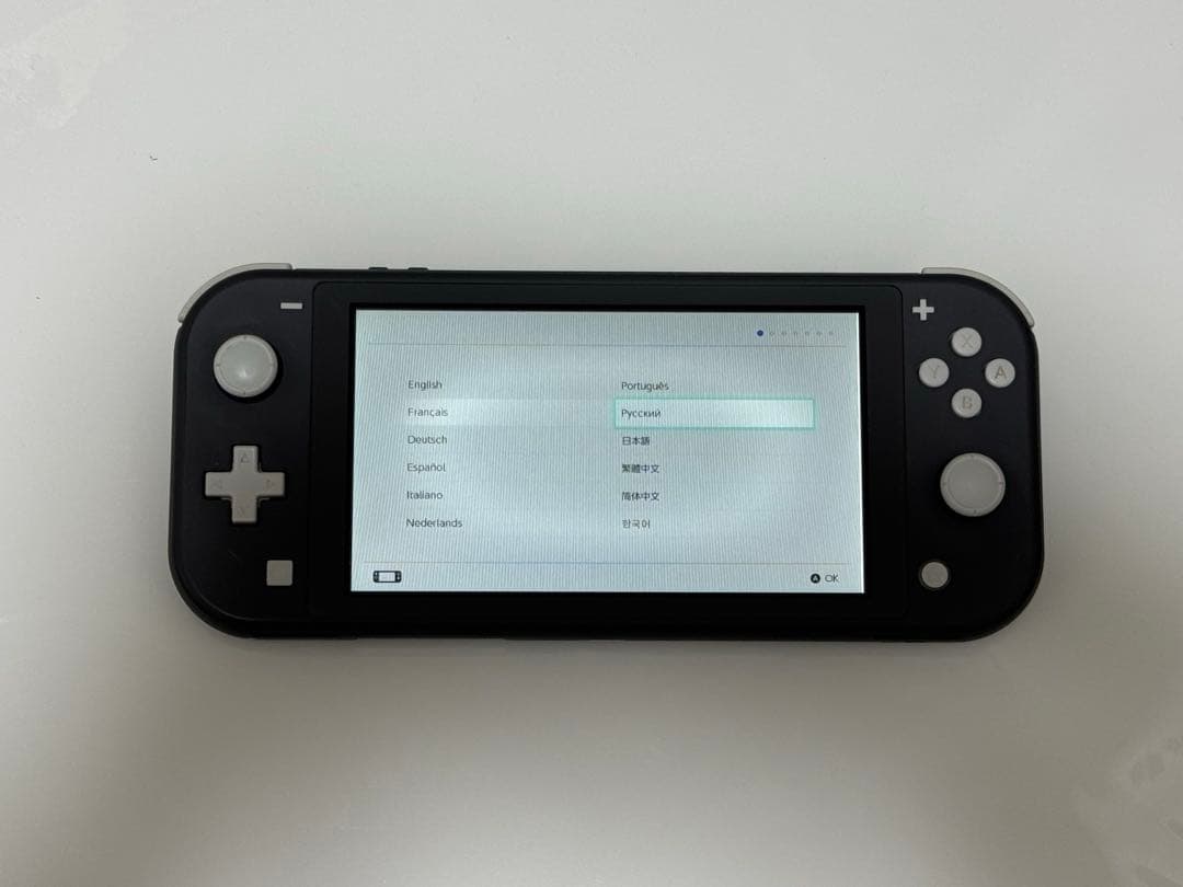 【ジャンク】Nintendo Switch Lite グレー
