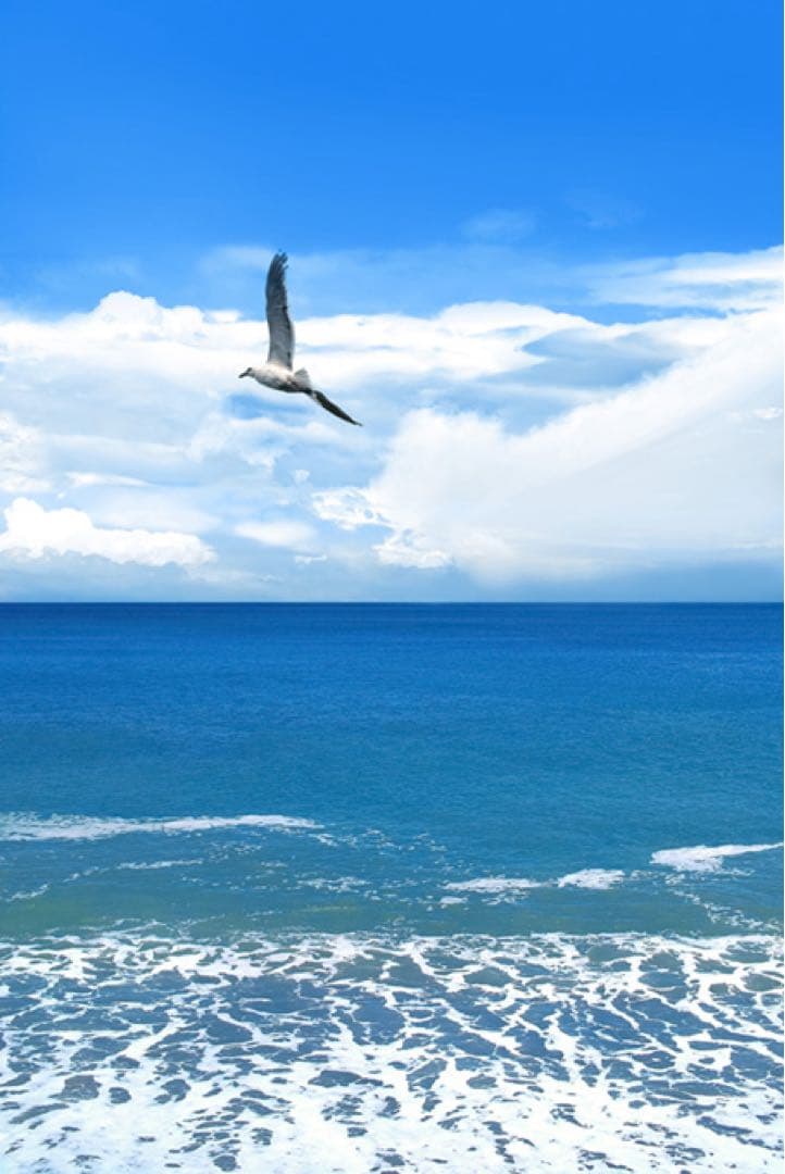 コロコロコミック