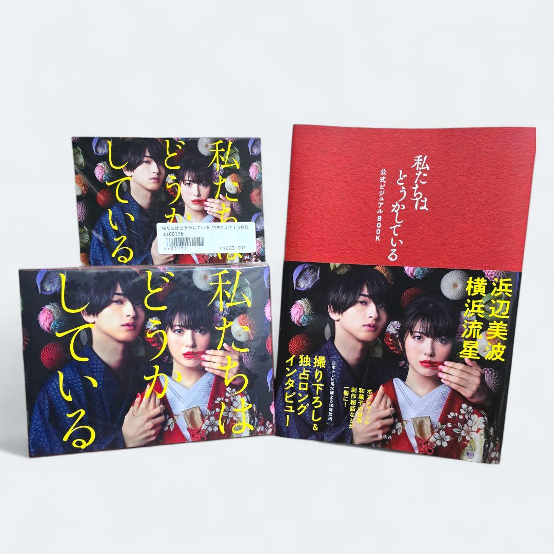 【新品未開封】私たちはどうかしている 公式ビジュアルDVD BOX セット