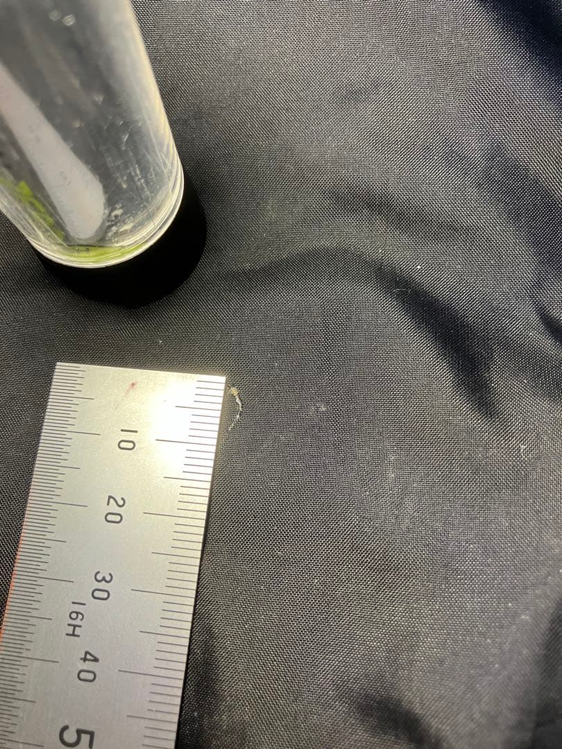 ヒルバーグ　ソウロ　フットプリント付