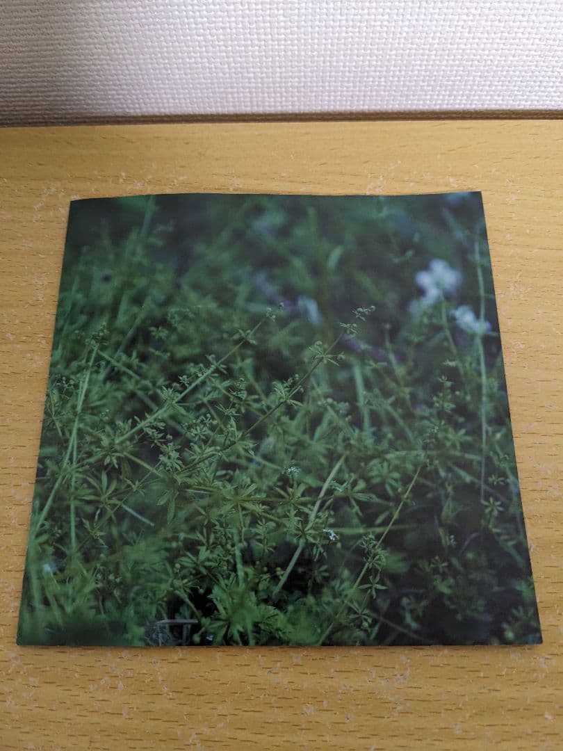 邦楽 chouchou merged syrups. clepsydra