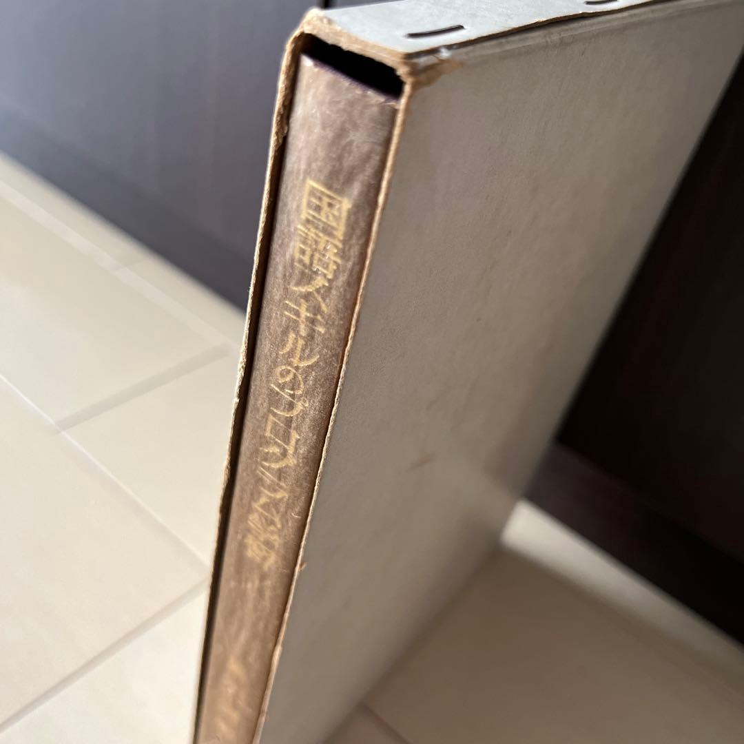 国語スキルのプログラム学習　輿水実