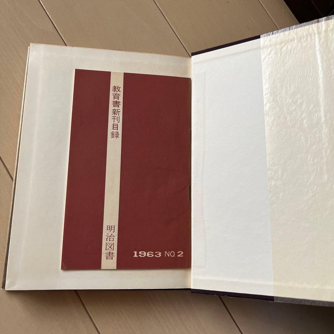 国語スキルのプログラム学習　輿水実