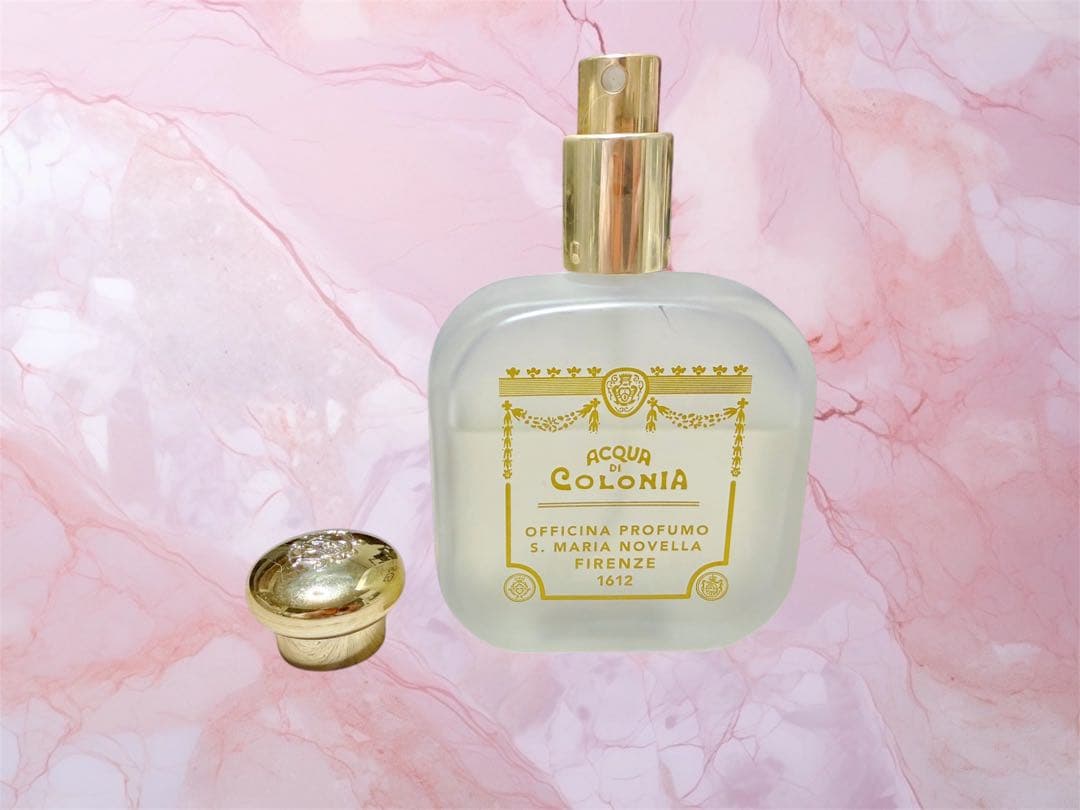 S. Maria Novella コロン サンタマリアノヴェッラ