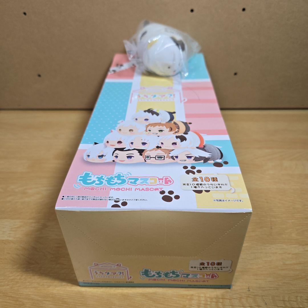 予約特典付き うちタマ?! もちもちマスコットぬいぐるみ ボックスセット