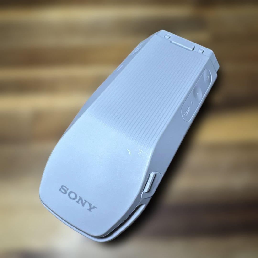 暑さ対策・冷却グッズ REON POCKET PRO RNPK-P1