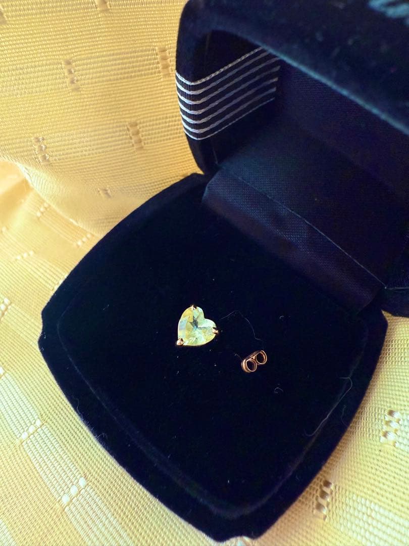 alice in tinyroom ドロシーピアス