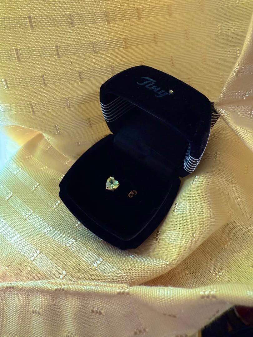 alice in tinyroom ドロシーピアス