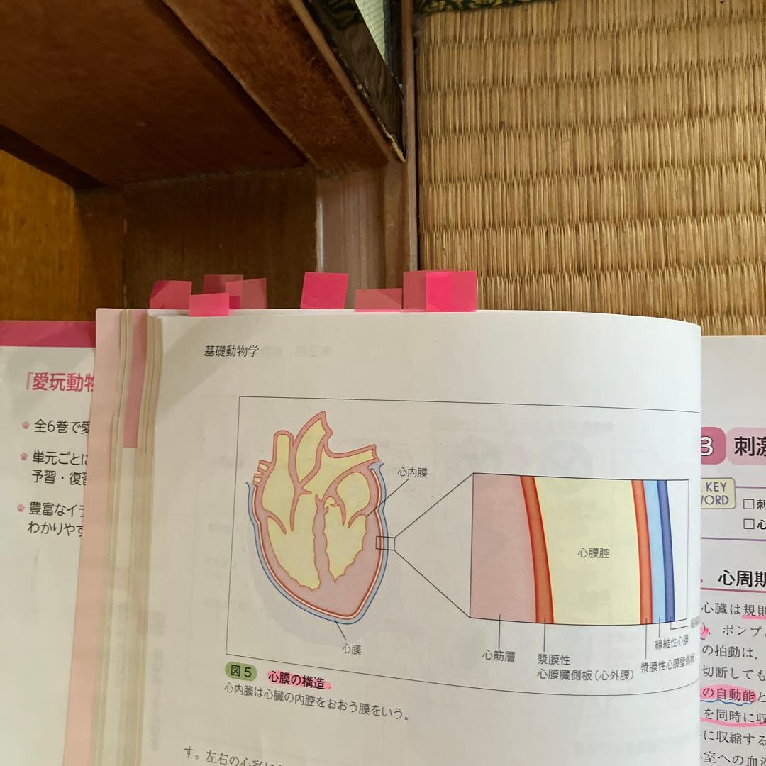 愛玩動物看護師の教科書 第1巻 から6巻で3巻を除く5冊セット(写真は1巻のみ)