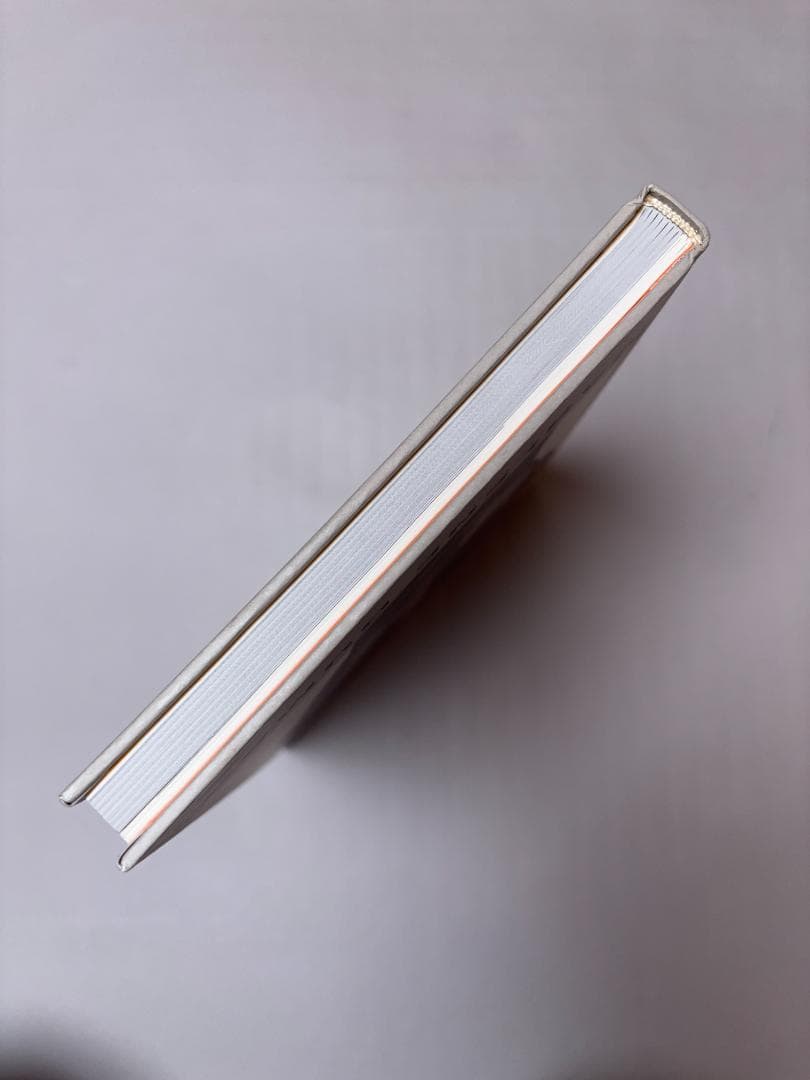 Marlene Dumas OneHundred Modelマルレーネ・デュマス