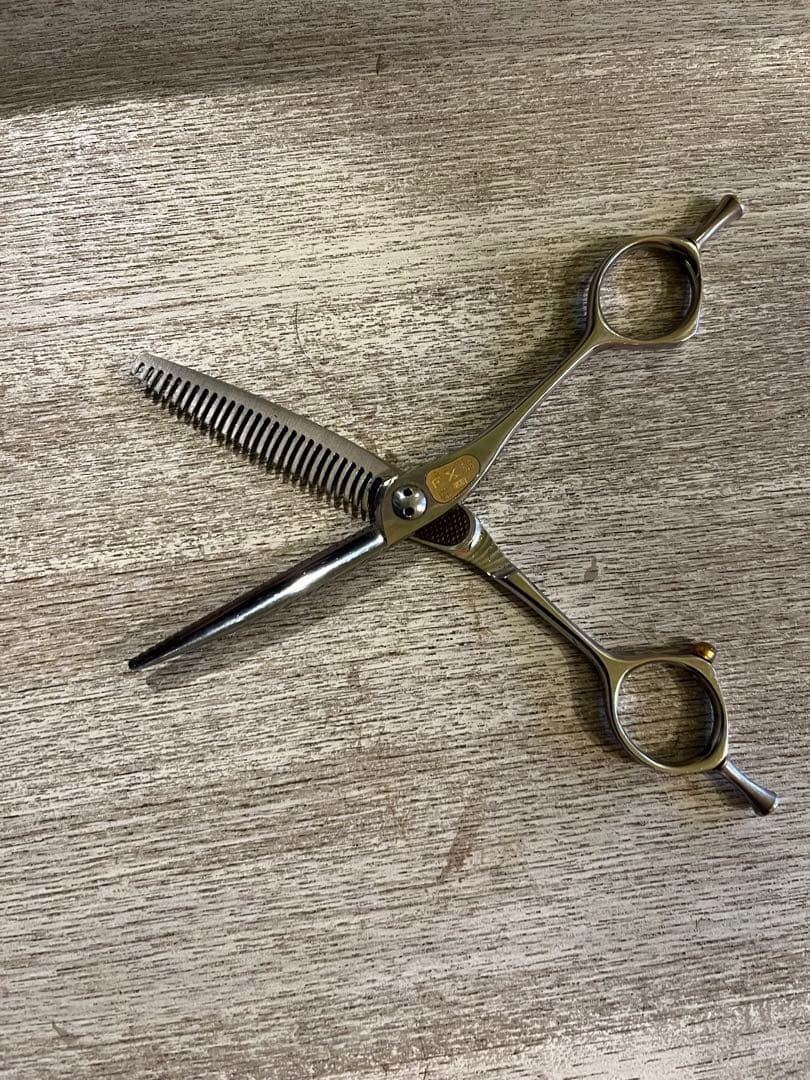 トギノンHi-skill Queen FX 5.8 セニング