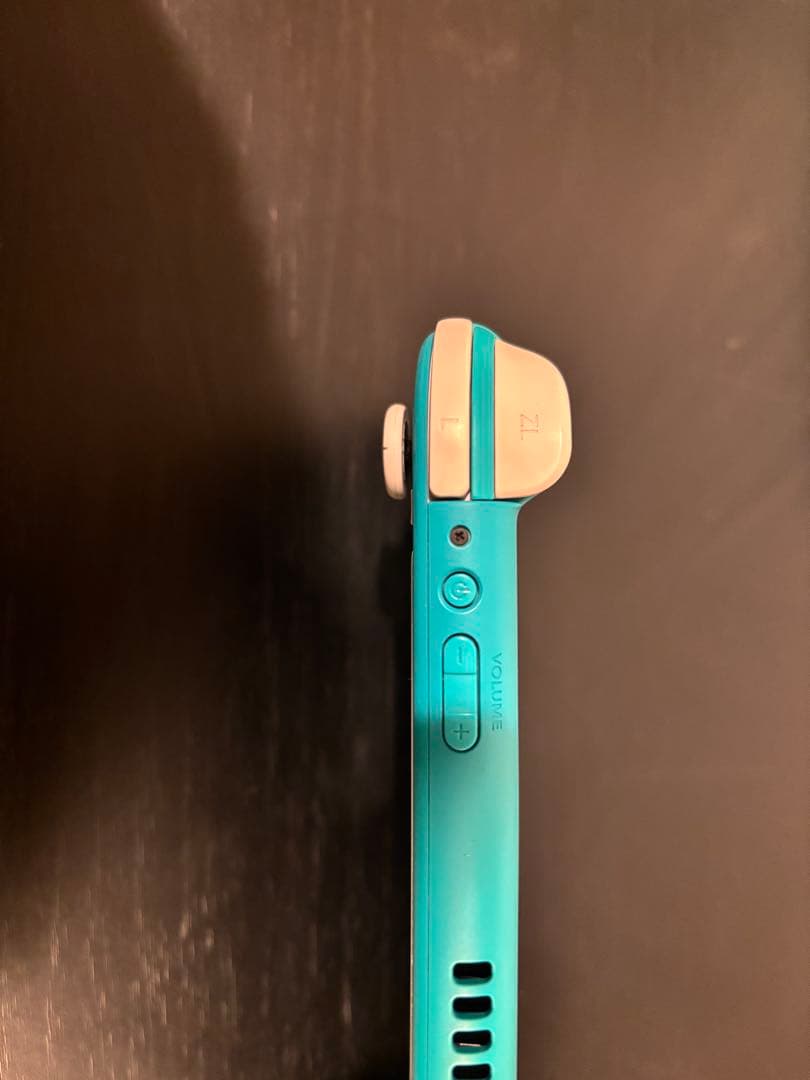 Nintendo Switch Lite 水色 ケース付き