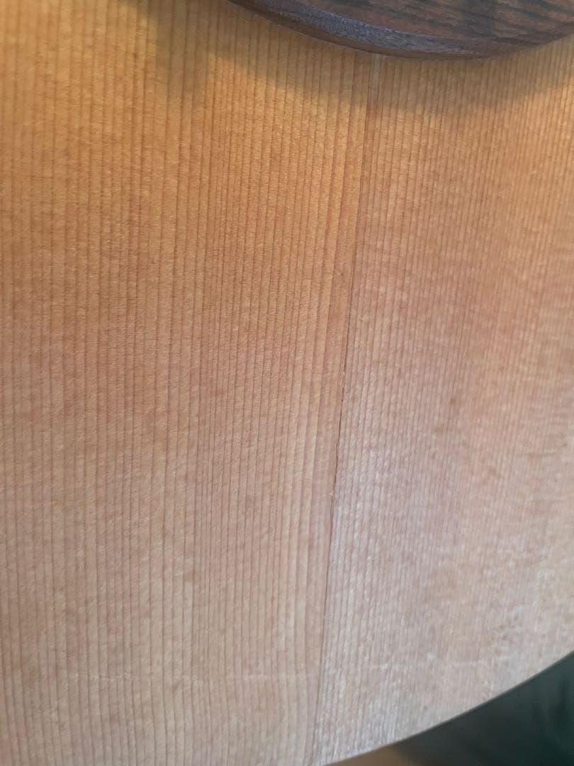 ギター Martin & Co. Backpacker Guitar