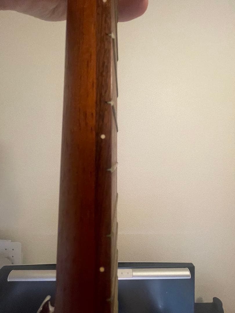 ギター Martin & Co. Backpacker Guitar