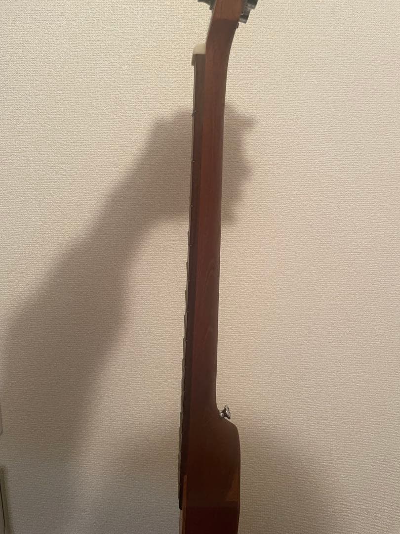 ギター Martin & Co. Backpacker Guitar