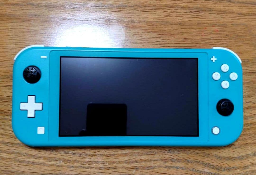 スウィッチライト本体＆ケース＆充電器＆ソフト付き☆