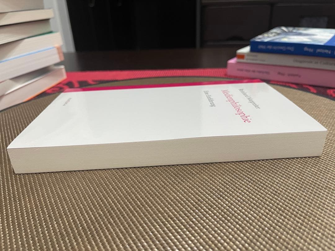 洋書 Reinhard Margreiter Medienphilosophie